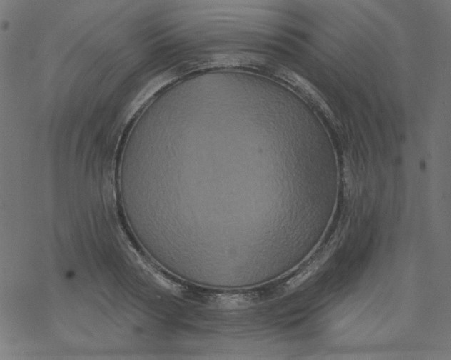 X0000077350794200611031820