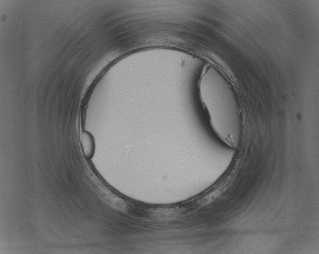 X0000077350796200611031820