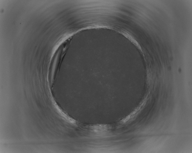 X0000077350797200611031820