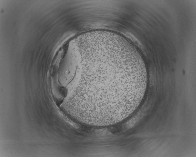 X0000077350798200611031820