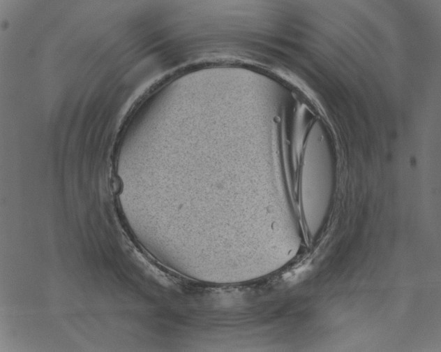 X0000077350799200611031820