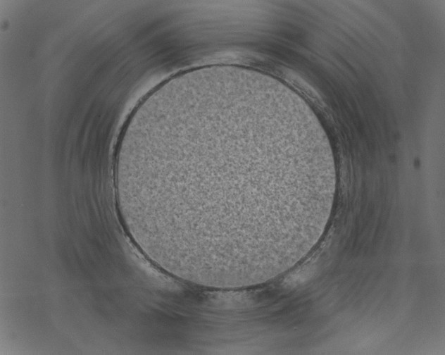 X0000077350800200611031820