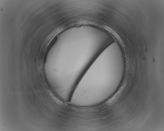 X0000077350801200611031820