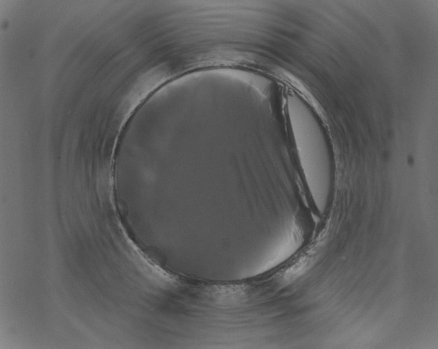 X0000077350802200611031820