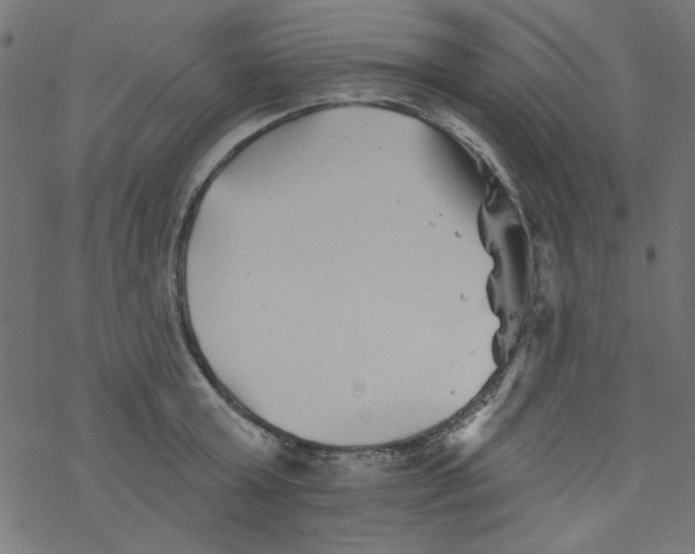 X0000077350803200611031820