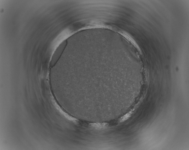 X0000077350805200611031820