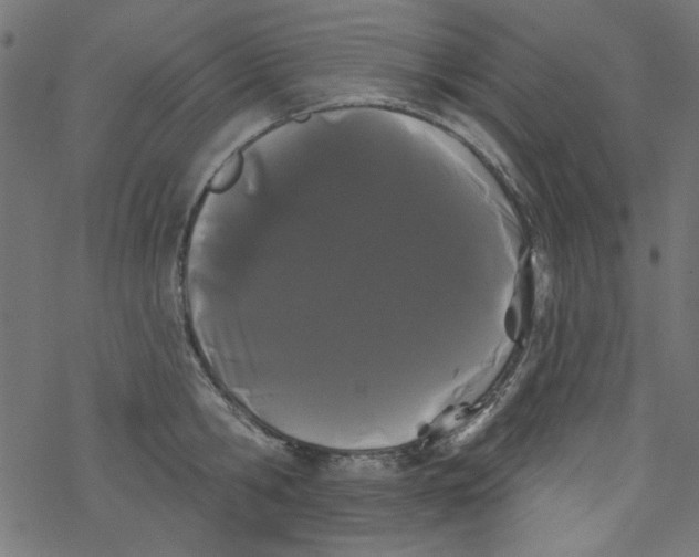 X0000077350806200611031820