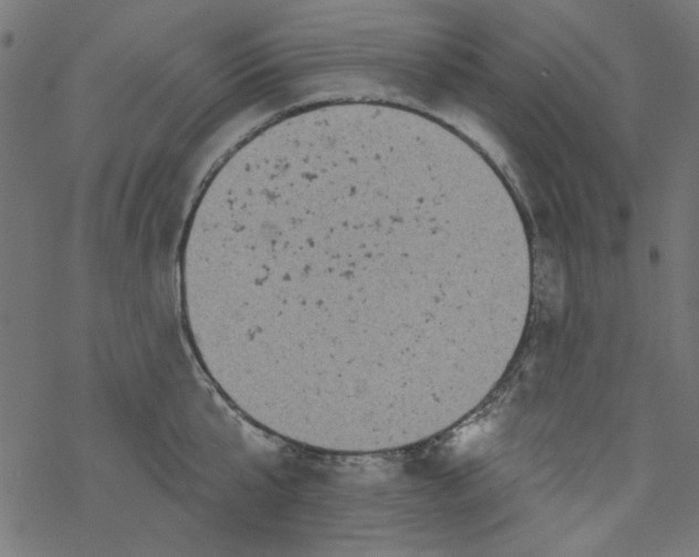 X0000077350807200611031820