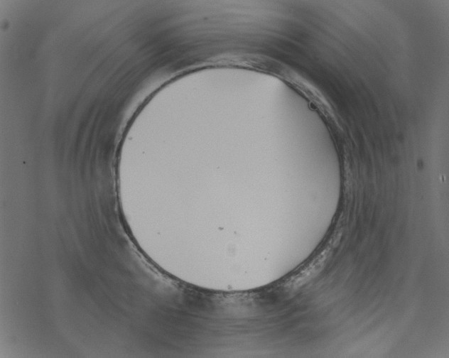 X0000077350808200611031820