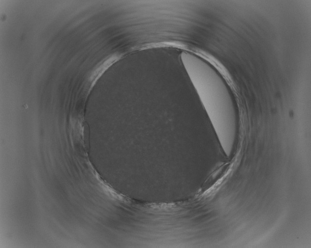 X0000077350809200611031819