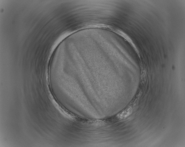 X0000077350811200611031819