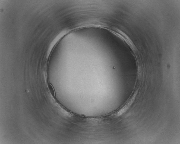 X0000077350812200611031819