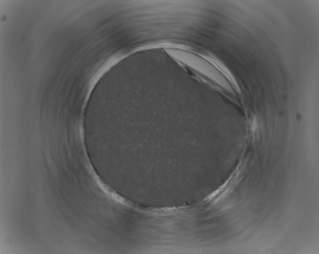 X0000077350813200611031819