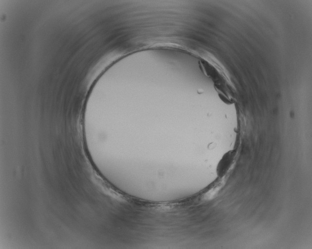 X0000077350814200611031819