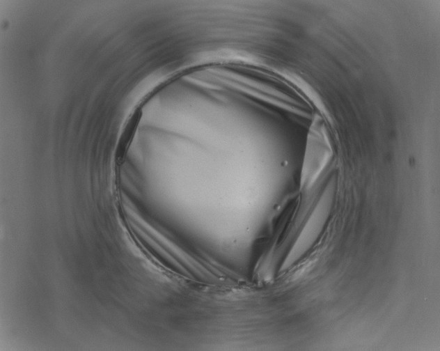 X0000077350815200611031819