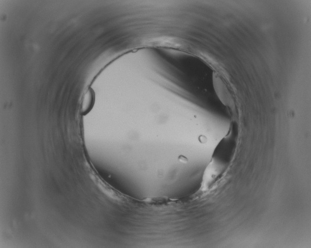 X0000077350816200611031819