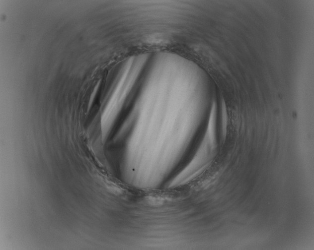 X0000077350818200611031819