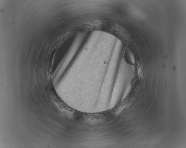 X0000077350819200611031819