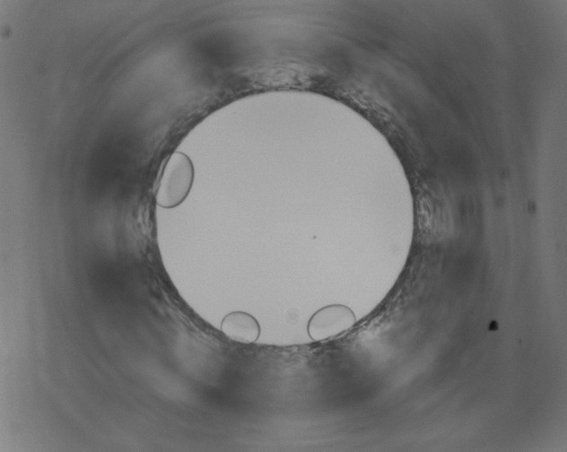 X0000077350820200611031819