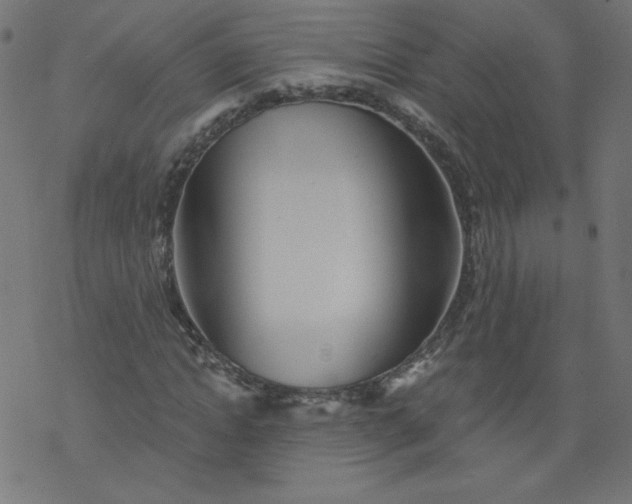 X0000077350822200611031819