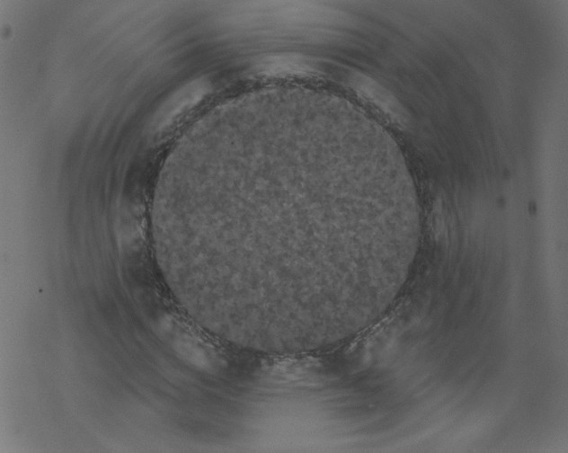 X0000077350824200611031819