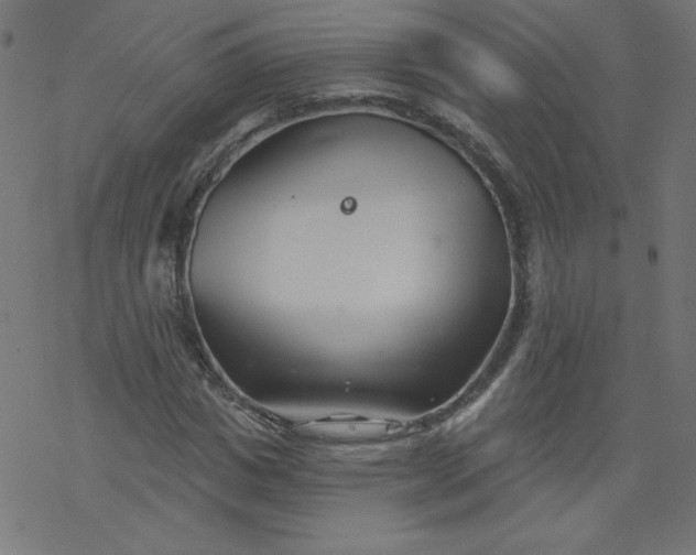 X0000077350825200611031819