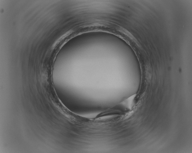 X0000077350826200611031819