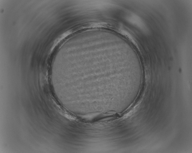 X0000077350827200611031819