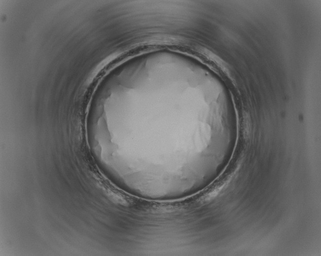 X0000077350829200611031819