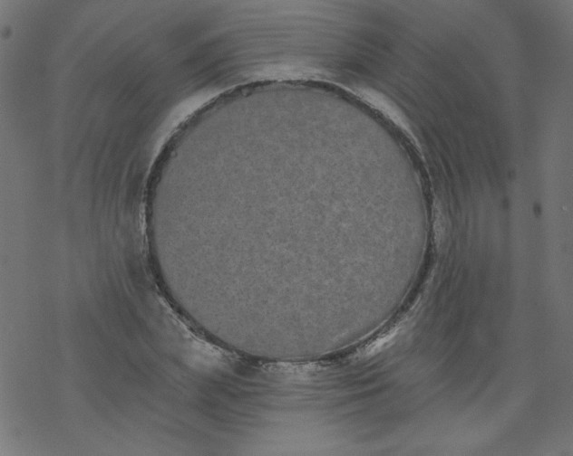 X0000077350831200611031819