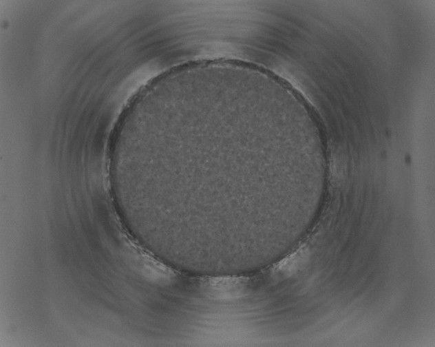 X0000077350832200611031819