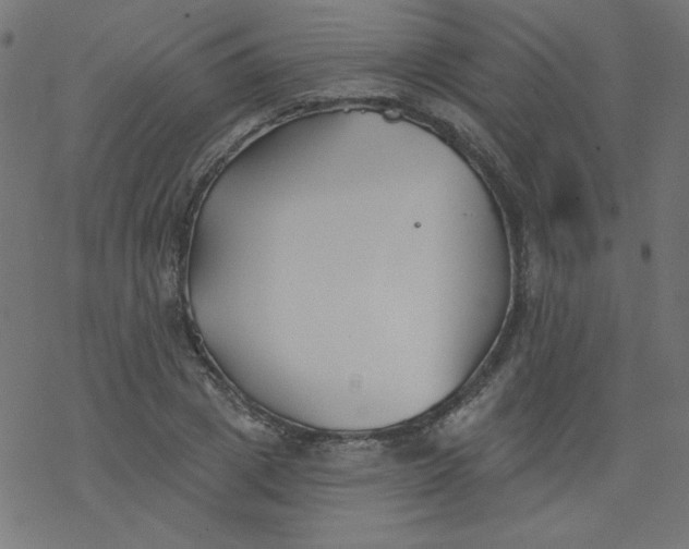 X0000077350833200611031819