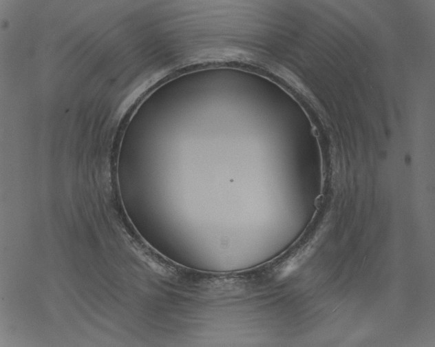 X0000077350834200611031819