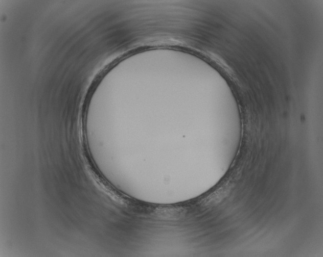 X0000077350840200611031819