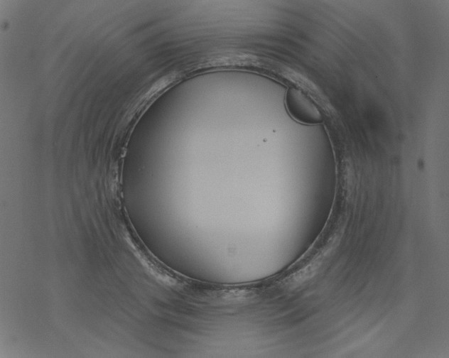 X0000077350841200611031819