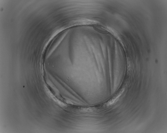 X0000077350843200611031819