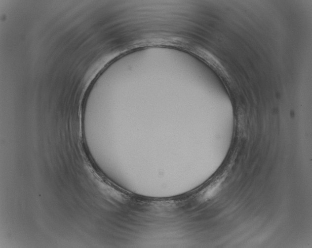 X0000077350844200611031819