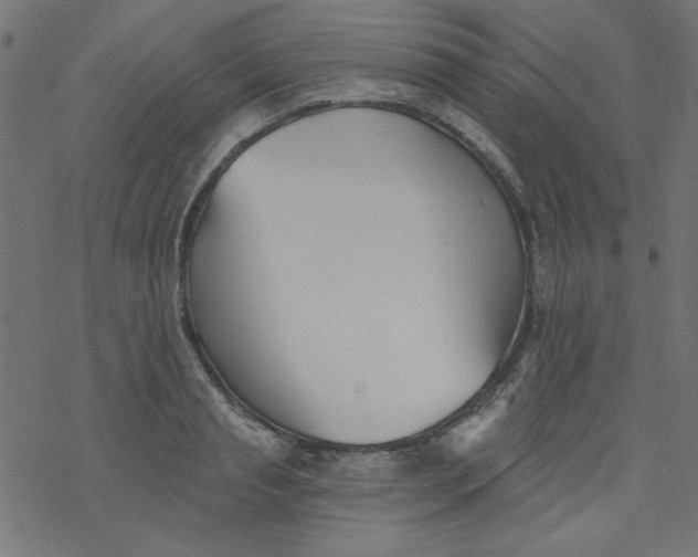 X0000077350845200611031819