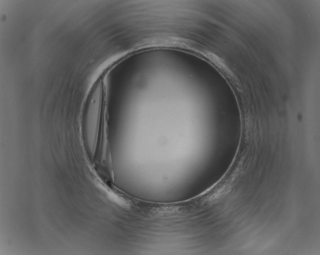 X0000077350846200611031819