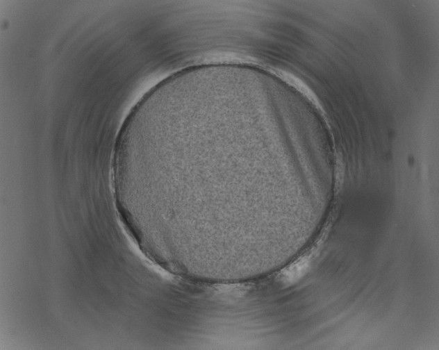 X0000077350847200611031819