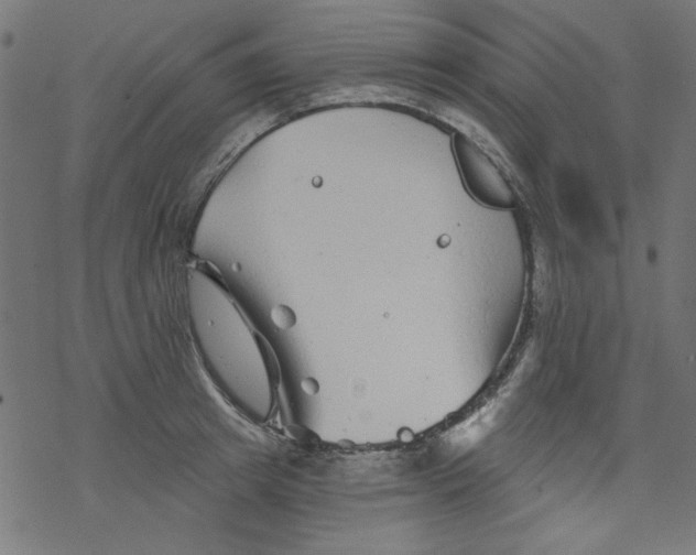 X0000077350849200611031819