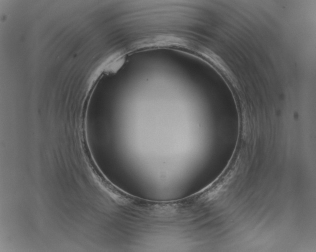 X0000077350850200611031819