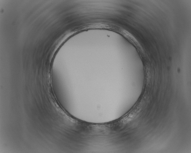 X0000077350852200611031819