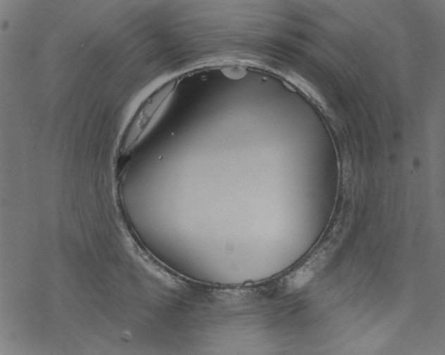 X0000077350854200611031819