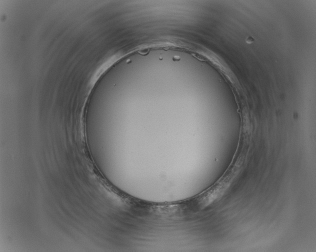 X0000077350858200611031819