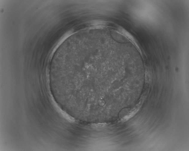 X0000077350859200611031819