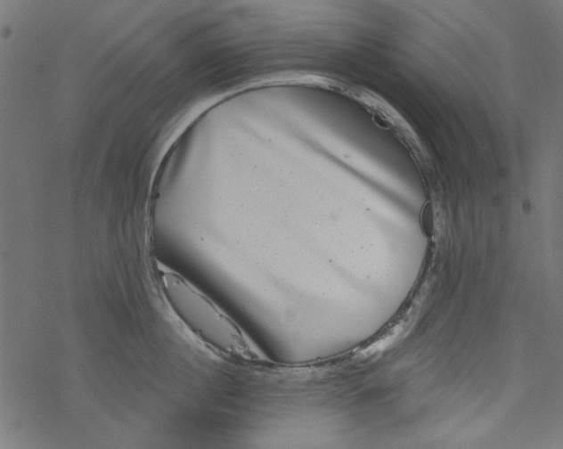 X0000077350860200611031819