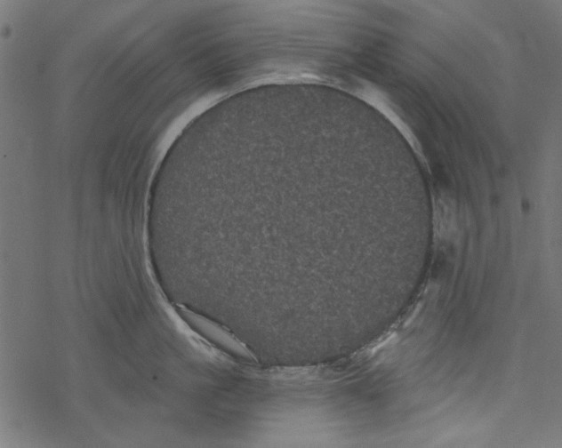 X0000077350861200611031819