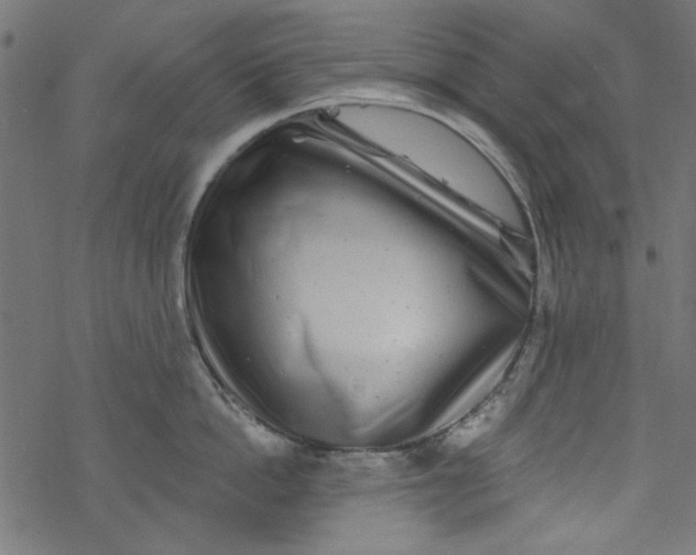 X0000077350862200611031819