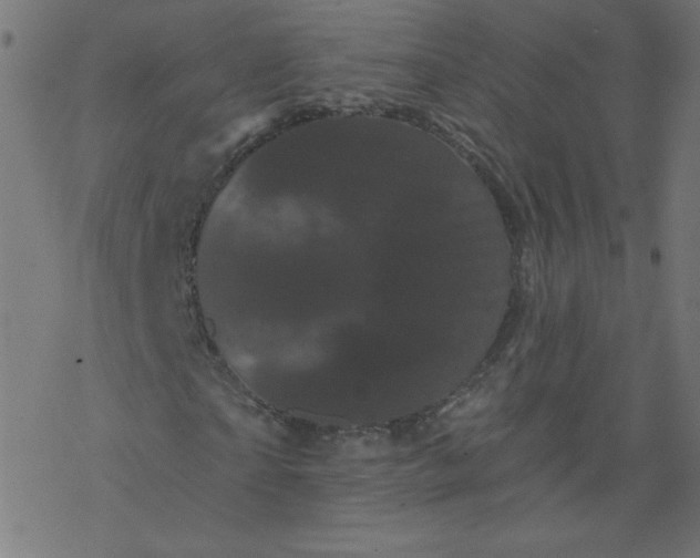 X0000077350865200611031819